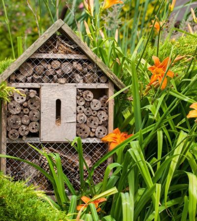 favoriser la biodiversité au jardin