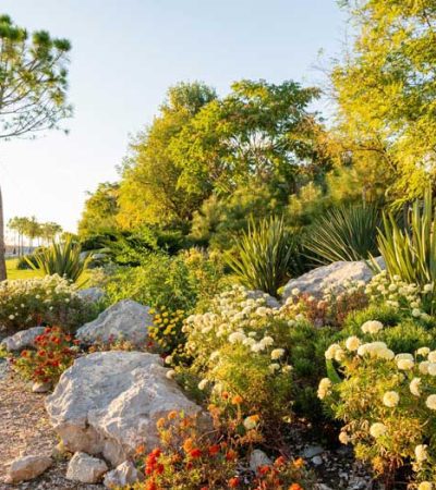 jardin paysador