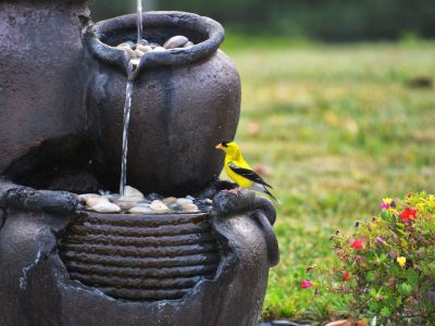Créer un point d’eau dans son jardin sans bassin | Paysad’Or