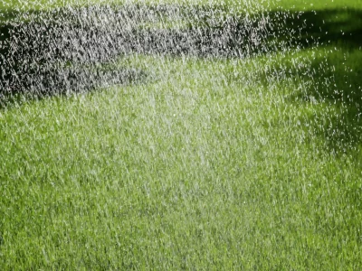 arrosage pelouse