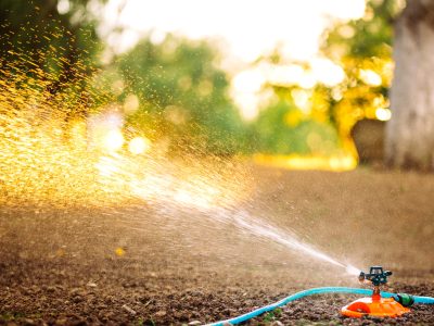 Summer garden irrigation. Sprinkler system with hose watering the grass in the garden